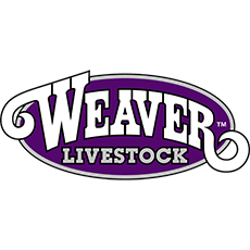 Weaver Leather Livestock Foamer - Darlington, WI - Darlington Feed