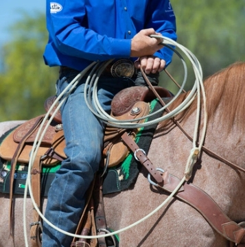 Weaver Leather Halter W/ Snap – Greenhawk Equestrian Sport